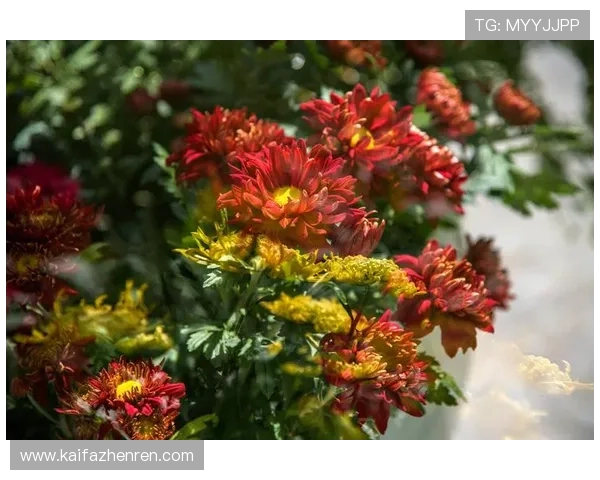 凯发PG电子游艺：体验最精彩的线上娱乐盛宴，尽享丰富多彩的游戏玩法