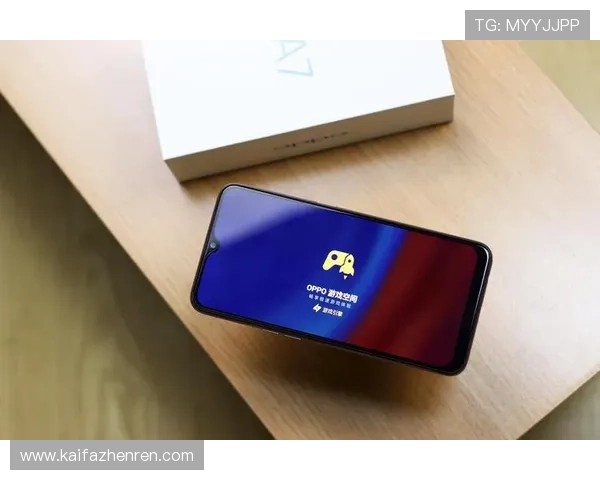 下载凯发旗舰客户端享受极速登录和安全保障的优质游戏体验